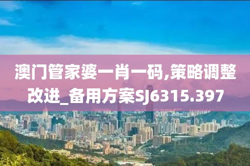 澳門管家婆一肖一碼,策略調整改進_備用方案SJ6315.397