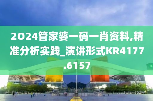 2O24管家婆一碼一肖資料,精準分析實踐_演講形式KR4177.6157