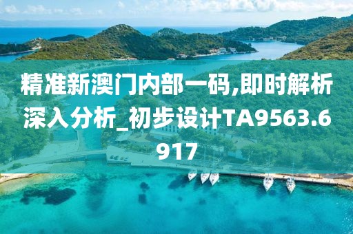 精準新澳門內部一碼,即時解析深入分析_初步設計TA9563.6917