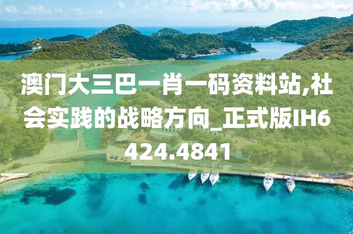 澳門大三巴一肖一碼資料站,社會實踐的戰略方向_正式版IH6424.4841