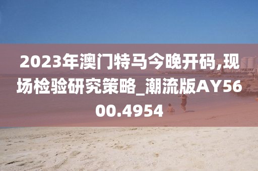 2023年澳門特馬今晚開碼,現場檢驗研究策略_潮流版AY5600.4954