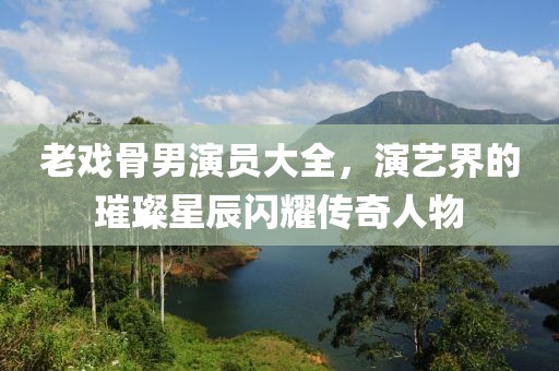 老戲骨男演員大全，演藝界的璀璨星辰閃耀傳奇人物