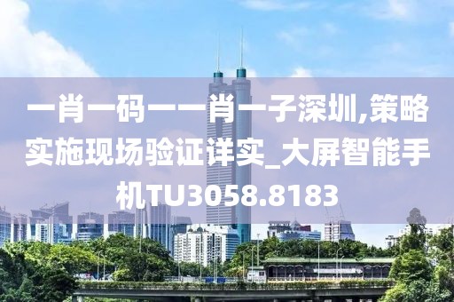 一肖一碼一一肖一子深圳,策略實施現場驗證詳實_大屏智能手機TU3058.8183