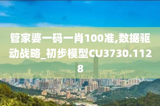 管家婆一碼一肖100準,數據驅動戰略_初步模型CU3730.1128