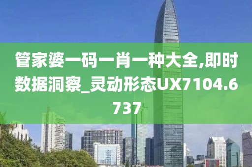 管家婆一碼一肖一種大全,即時數據洞察_靈動形態UX7104.6737
