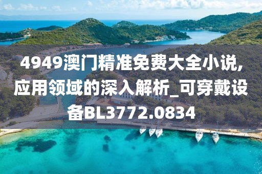 4949澳門精準免費大全小說,應用領域的深入解析_可穿戴設備BL3772.0834