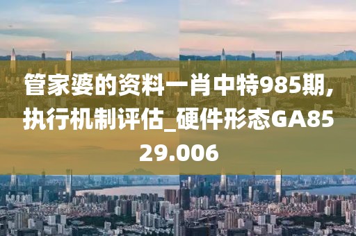 管家婆的資料一肖中特985期,執行機制評估_硬件形態GA8529.006