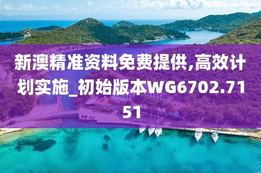 新澳精準資料免費提供,高效計劃實施_初始版本WG6702.7151