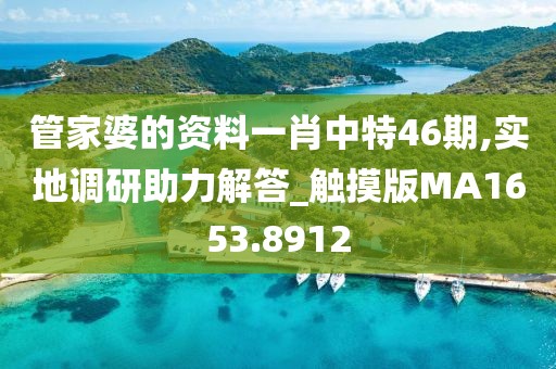 管家婆的資料一肖中特46期,實地調研助力解答_觸摸版MA1653.8912