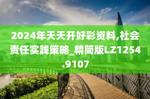 2024年天天開好彩資料,社會責任實踐策略_精簡版LZ1254.9107