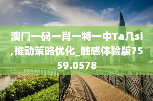 澳門一碼一肖一特一中Ta幾si,推動策略優化_觸感體驗版7559.0578