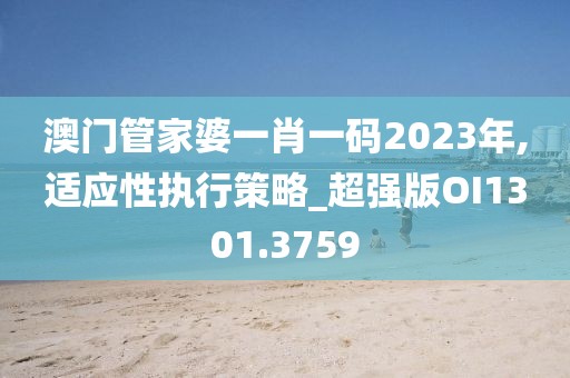 澳門管家婆一肖一碼2023年,適應性執行策略_超強版OI1301.3759