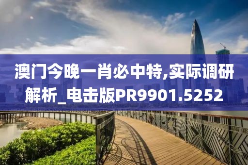 澳門今晚一肖必中特,實際調研解析_電擊版PR9901.5252