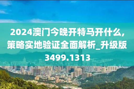2024澳門今晚開特馬開什么,策略實地驗證全面解析_升級版3499.1313