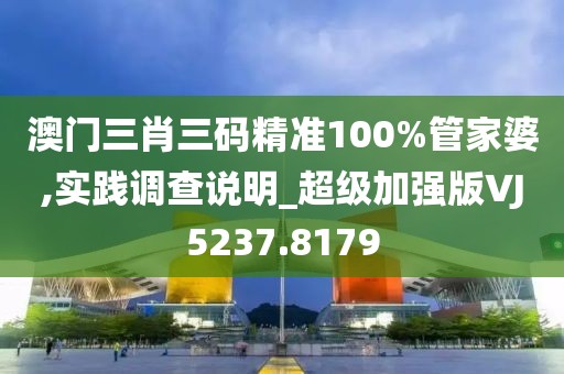 澳門三肖三碼精準100%管家婆,實踐調查說明_超級加強版VJ5237.8179