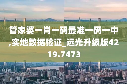 管家婆一肖一碼最準一碼一中,實地數據驗證_遠光升級版4219.7473