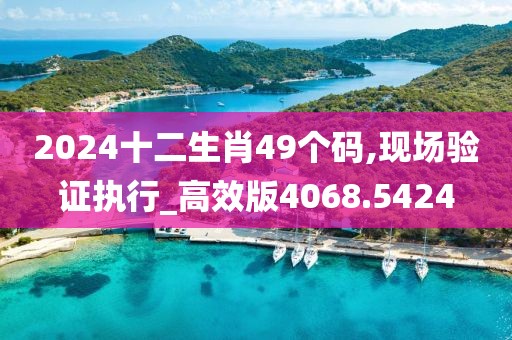 2024十二生肖49個碼,現場驗證執行_高效版4068.5424