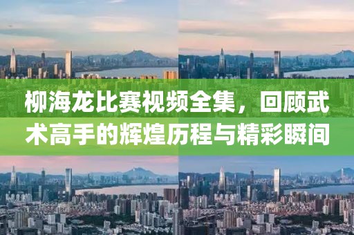 柳海龍比賽視頻全集，回顧武術高手的輝煌歷程與精彩瞬間