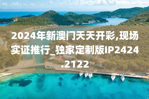 2024年新澳門天天開彩,現場實證推行_獨家定制版IP2424.2122
