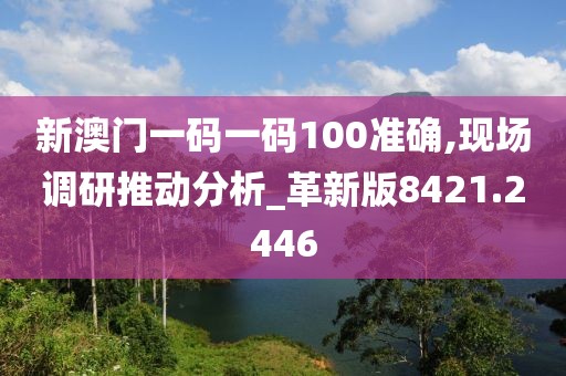 新澳門一碼一碼100準確,現場調研推動分析_革新版8421.2446