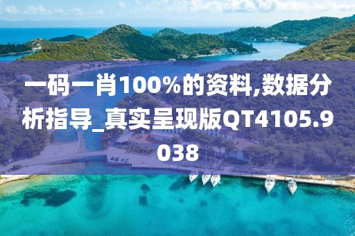 一碼一肖100%的資料,數據分析指導_真實呈現版QT4105.9038