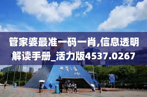 管家婆最準一碼一肖,信息透明解讀手冊_活力版4537.0267