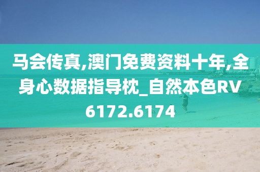 馬會傳真,澳門免費資料十年,全身心數據指導枕_自然本色RV6172.6174