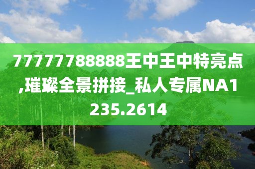 77777788888王中王中特亮點,璀璨全景拼接_私人專屬NA1235.2614