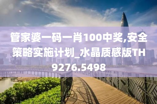 管家婆一碼一肖100中獎,安全策略實施計劃_水晶質感版TH9276.5498