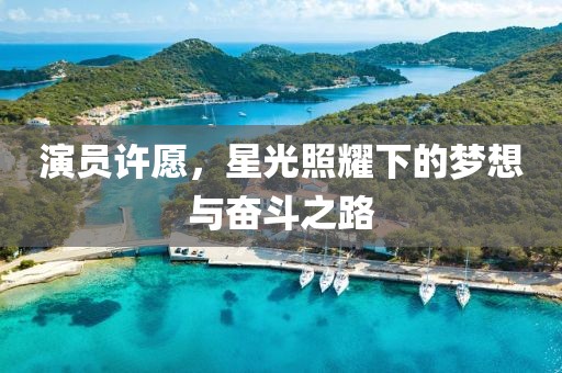 演員許愿，星光照耀下的夢想與奮斗之路