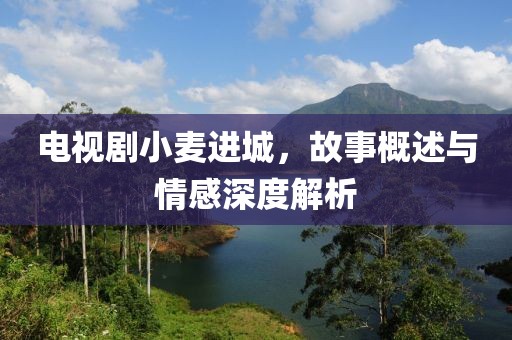 電視劇小麥進城，故事概述與情感深度解析