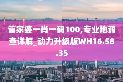 管家婆一肖一碼100,專業地調查詳解_動力升級版WH16.58.35