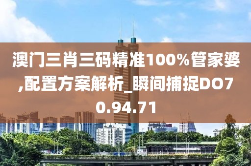 澳門三肖三碼精準100%管家婆,配置方案解析_瞬間捕捉DO70.94.71
