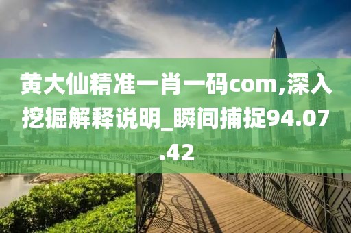 黃大仙精準一肖一碼com,深入挖掘解釋說明_瞬間捕捉94.07.42