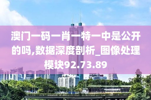 澳門一碼一肖一特一中是公開的嗎,數據深度剖析_圖像處理模塊92.73.89