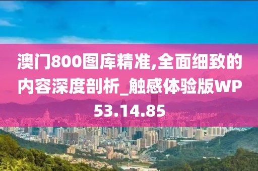 澳門800圖庫精準,全面細致的內容深度剖析_觸感體驗版WP53.14.85