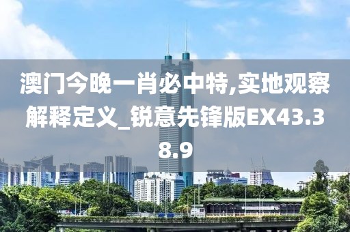 澳門今晚一肖必中特,實地觀察解釋定義_銳意先鋒版EX43.38.9