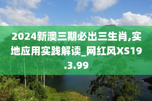 2024新澳三期必出三生肖,實地應用實踐解讀_網紅風XS19.3.99