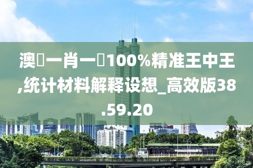 澳門一肖一碼100%精準王中王,統計材料解釋設想_高效版38.59.20