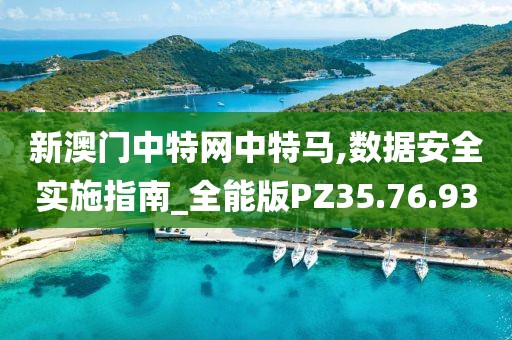 新澳門中特網中特馬,數據安全實施指南_全能版PZ35.76.93