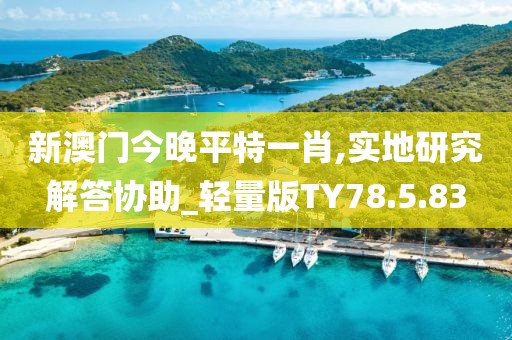 新澳門今晚平特一肖,實地研究解答協助_輕量版TY78.5.83