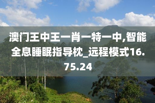 澳門王中王一肖一特一中,智能全息睡眠指導枕_遠程模式16.75.24