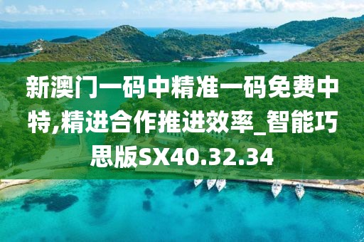 新澳門一碼中精準一碼免費中特,精進合作推進效率_智能巧思版SX40.32.34