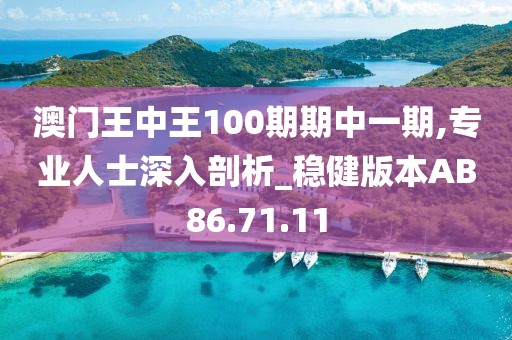 澳門王中王100期期中一期,專業人士深入剖析_穩健版本AB86.71.11