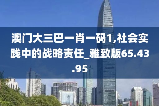 澳門大三巴一肖一碼1,社會實踐中的戰略責任_雅致版65.43.95