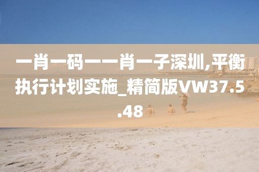 一肖一碼一一肖一子深圳,平衡執行計劃實施_精簡版VW37.5.48