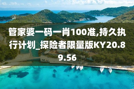 管家婆一碼一肖100準,持久執行計劃_探險者限量版KY20.89.56