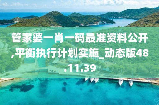 管家婆一肖一碼最準資料公開,平衡執行計劃實施_動態版48.11.39