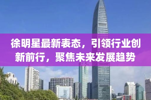 徐明星最新表態，引領行業創新前行，聚焦未來發展趨勢
