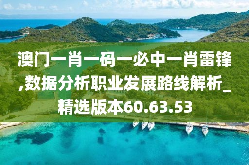 澳門一肖一碼一必中一肖雷鋒,數據分析職業發展路線解析_精選版本60.63.53
